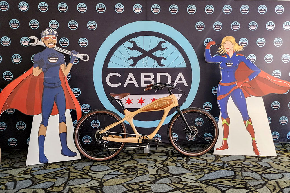 Detal roweru Sylvanoo Aloha