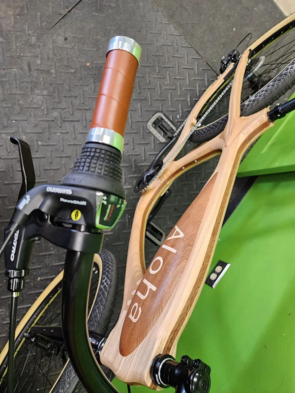 Detal roweru Sylvanoo Aloha