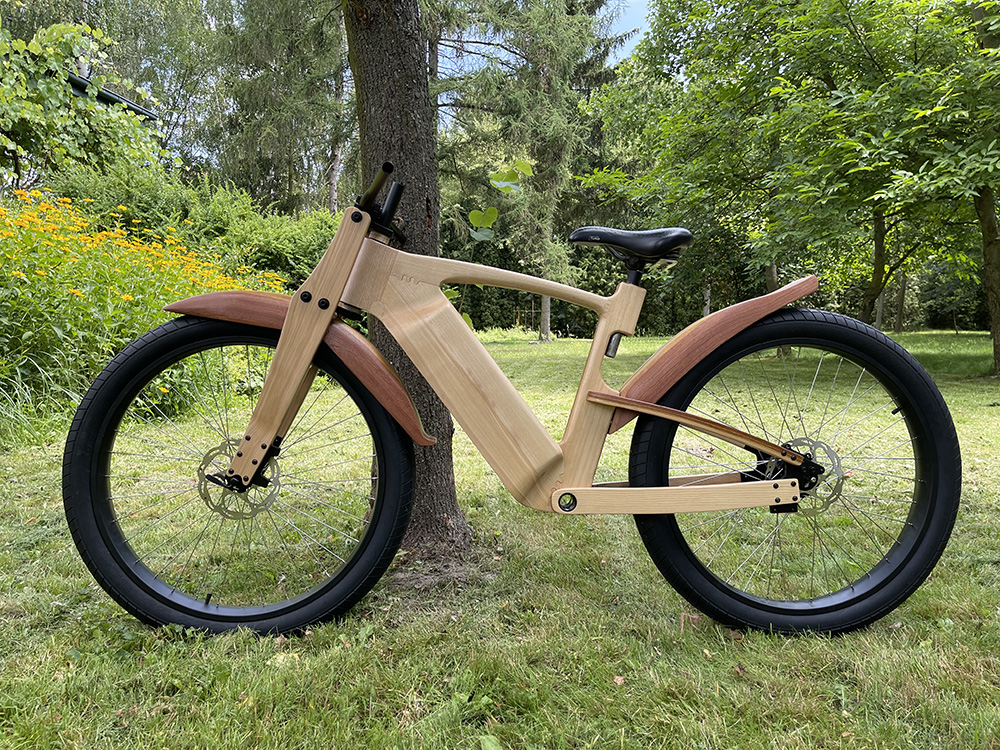 Detal roweru Sylvanoo Electric