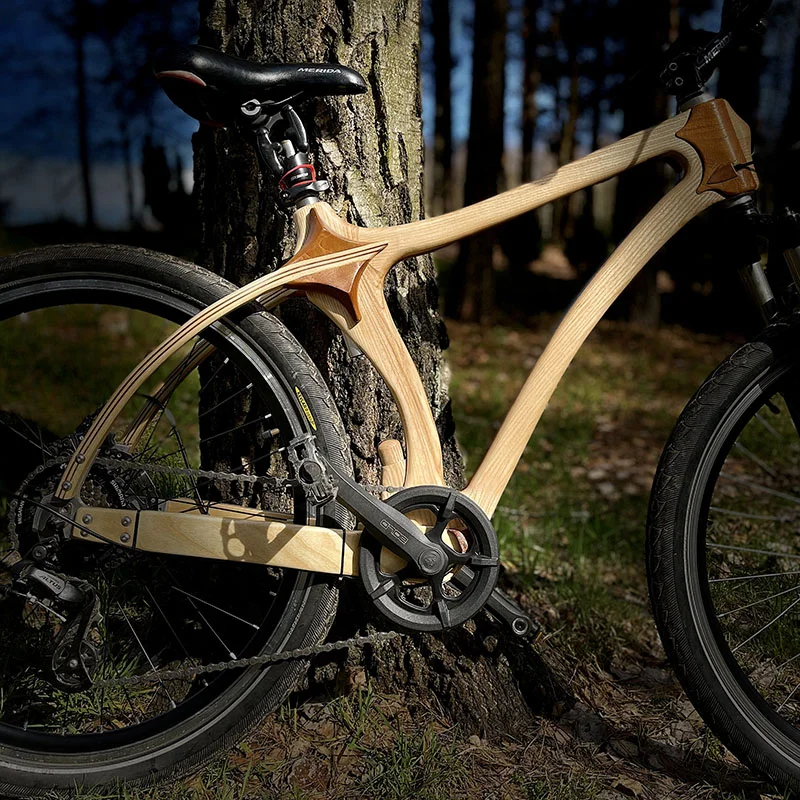 Detal roweru Sylvanoo Mountain